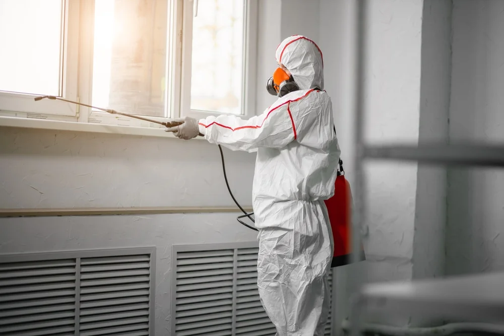 Professional mold remediation services in Orford, NH